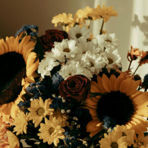 Sunshine Surprise
